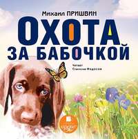 . Охота за бабочкой
