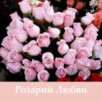 Татьяна Микушина. Розарий Любви