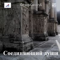 . Соединяющий души