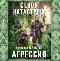 . Агрессия