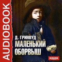 . Маленький оборвыш