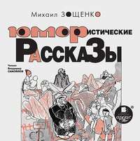 . Юмористические рассказы