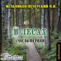 . В лесах (часть первая)