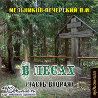 . В лесах (часть вторая)