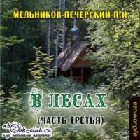 . В лесах (часть третья)