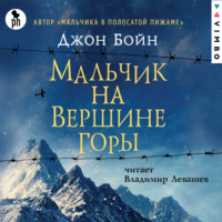 . Мальчик на вершине горы