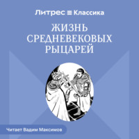 . Жизнь средневековых рыцарей