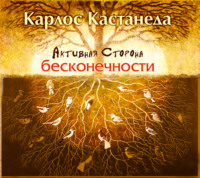 Карлос Кастанеда. Активная сторона бесконечности