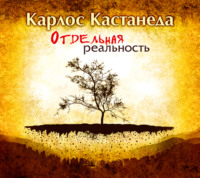 . Отдельная реальность