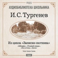 . Из записок охотника: Лебедянь. Уездный лекарь. Лес и степь. Льгов