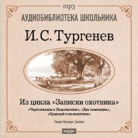 . Из записок охотника: Чертопханов и Недопюскин. Два помещика. Ермолай и мельничиха