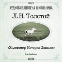 . Холстомер