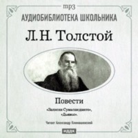 . Дьявол. Записки сумасшедшего