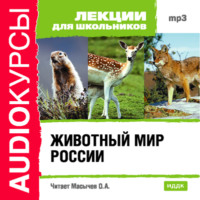 . Животный мир России