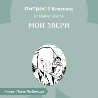 . Мои звери