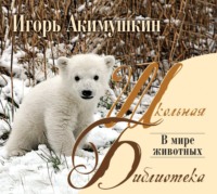 Игорь Акимушкин. В мире животных