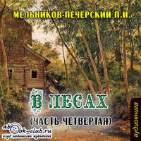 . В лесах (часть четвертая)