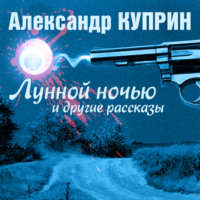 . Лунной ночью и другие рассказы