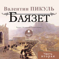 . Баязет (часть вторая)