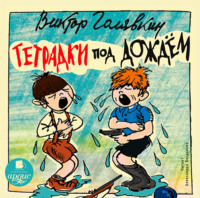 . Тетрадки под дождём