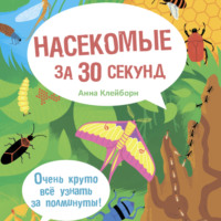 Анна Клэйборн. Насекомые за 30 секунд
