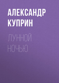 . Лунной ночью
