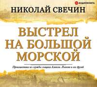 . Выстрел на Большой Морской