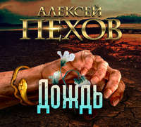 . Дождь