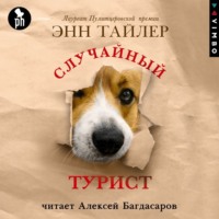 . Случайный турист