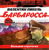 . Барбаросса. Часть 1. Большая стратегия