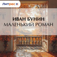 . Маленький роман