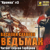 . Ведьмак