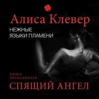 . Нежные языки пламени. Спящий ангел