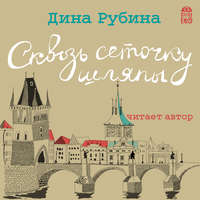 Дина Рубина. Сквозь сеточку шляпы (сборник)