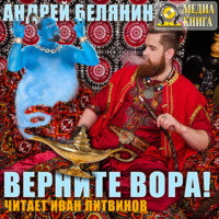 . Верните вора!