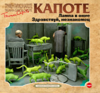 . Лампа в окне. Здравствуй, незнакомец.