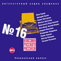 . Классика русского рассказа № 16