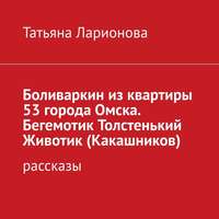 . Боливаркин из квартиры 53 города Омска. Рассказы про кота