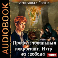 . Профессиональный некромант. Мэтр на свободе
