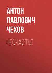 . Несчастье