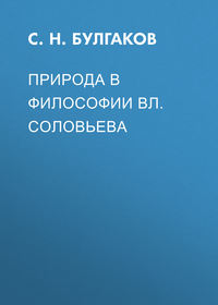 . Природа в философии Вл. Соловьева
