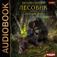 . Лесовик. Детский дом