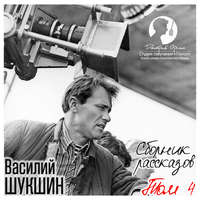 Василий Шукшин. Сборник рассказов. Том 4