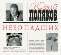 . Небо падших