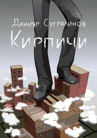 . Кирпичи