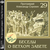 Протоиерей Александр Сорокин. Лекция 29. Песнь Песней