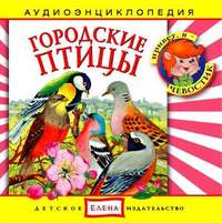 . Городские птицы