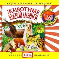 . Животные Южной Америки