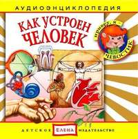 . Как устроен человек