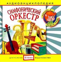 . Симфонический оркестр